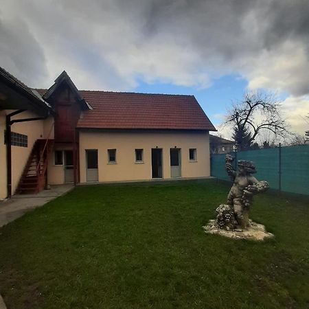 Vila Dionysos Brasov Ghimbav المظهر الخارجي الصورة