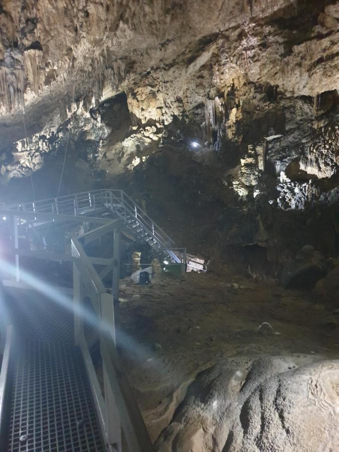 Vila Dionysos Brasov Ghimbav المظهر الخارجي الصورة