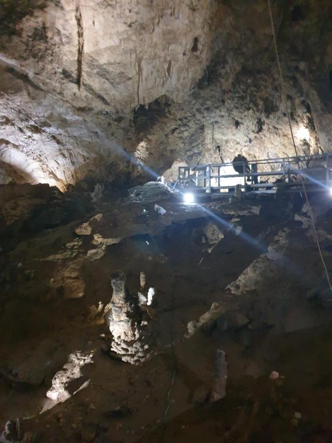 Vila Dionysos Brasov Ghimbav المظهر الخارجي الصورة