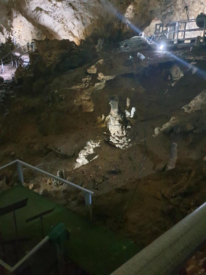 Vila Dionysos Brasov Ghimbav المظهر الخارجي الصورة