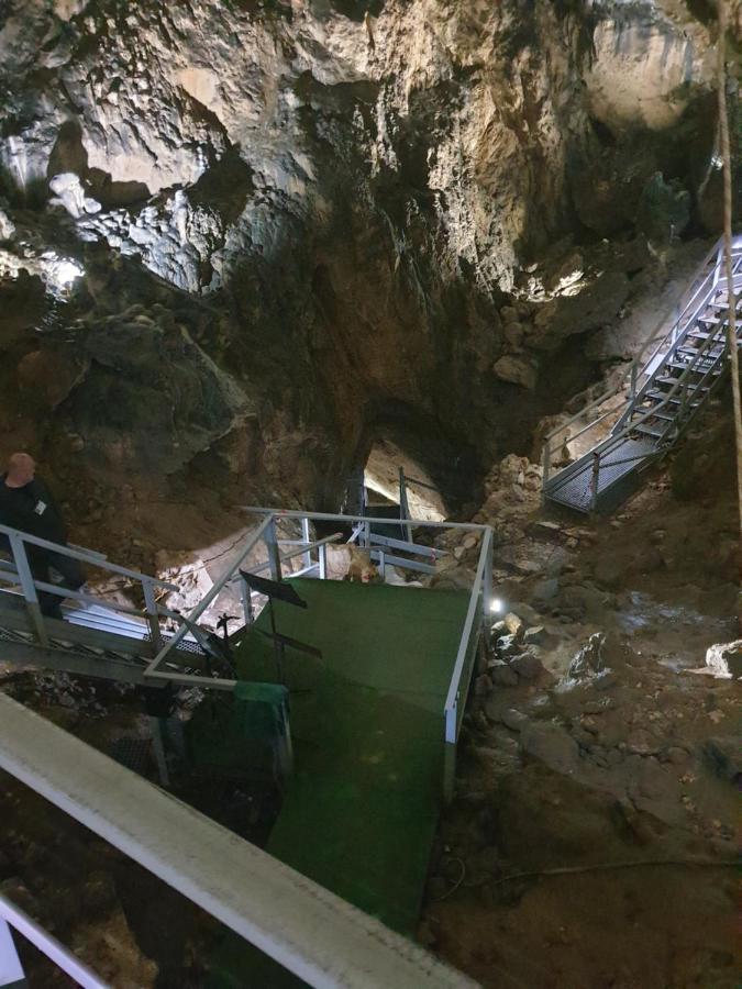 Vila Dionysos Brasov Ghimbav المظهر الخارجي الصورة
