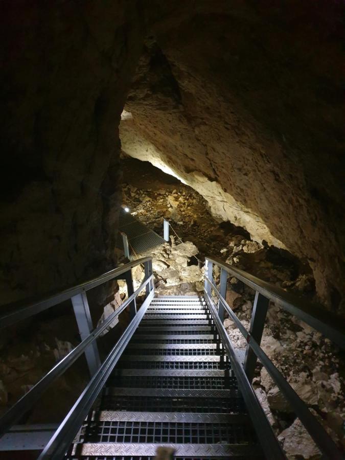 Vila Dionysos Brasov Ghimbav المظهر الخارجي الصورة