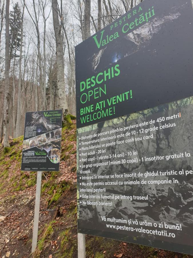 Vila Dionysos Brasov Ghimbav المظهر الخارجي الصورة