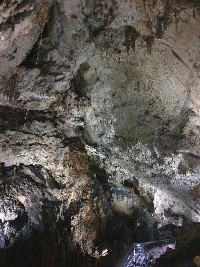 Vila Dionysos Brasov Ghimbav المظهر الخارجي الصورة