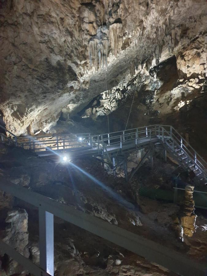Vila Dionysos Brasov Ghimbav المظهر الخارجي الصورة